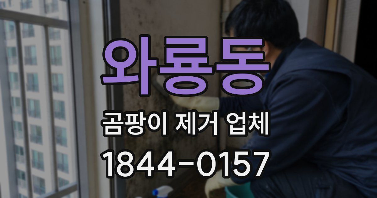 와룡동 곰팡이 제거 업체