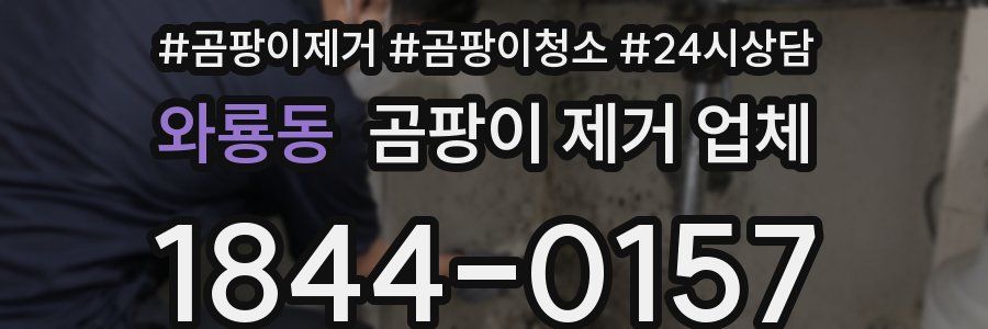 와룡동 곰팡이 제거 업체