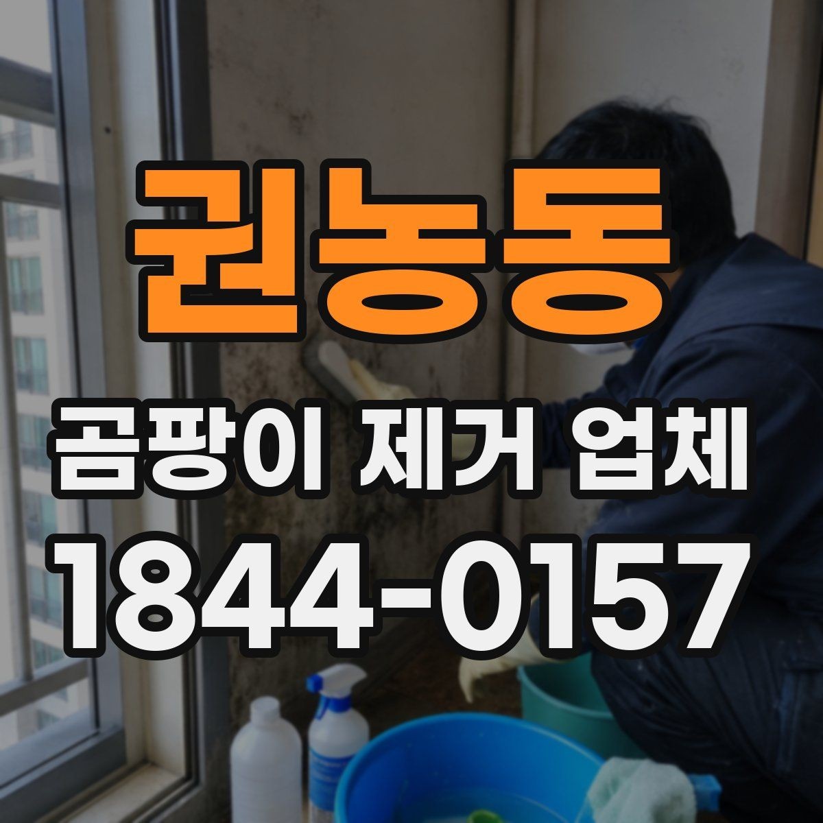 권농동 곰팡이 제거 업체 창틀 내부 주변 오염이 반복되는 원인 분석