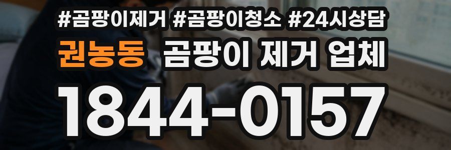 권농동 곰팡이 제거 업체