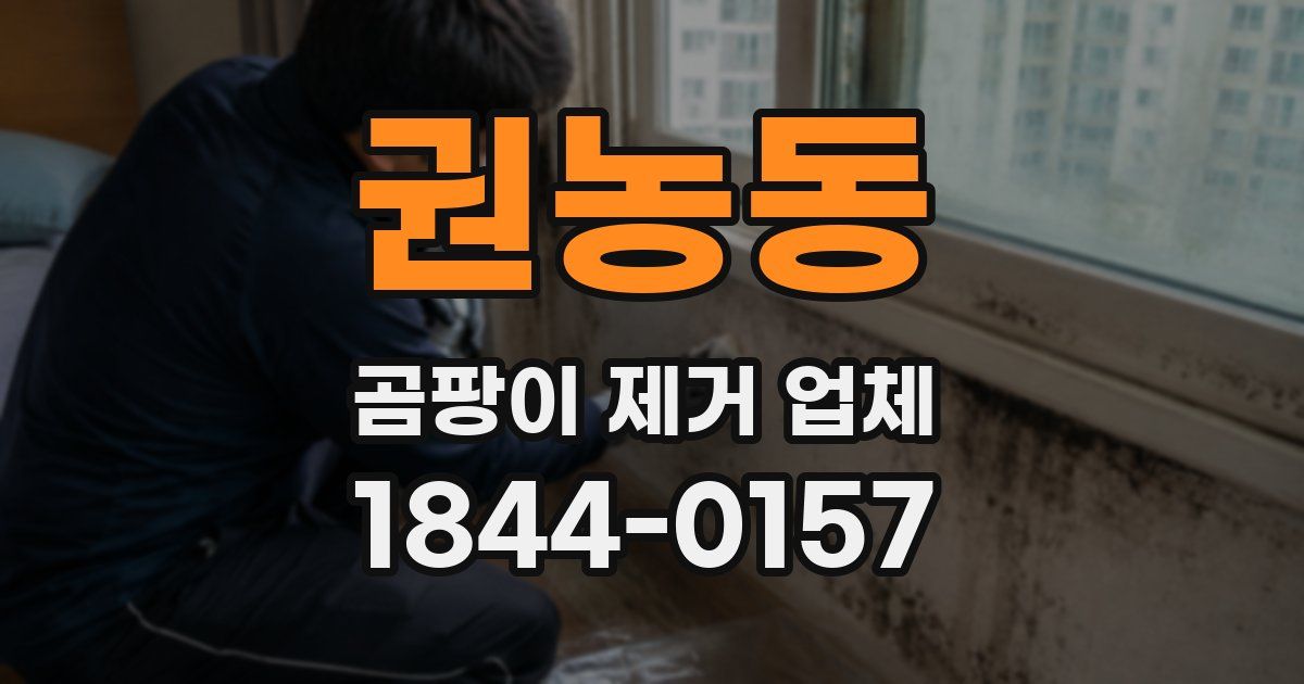 권농동 곰팡이 제거 업체