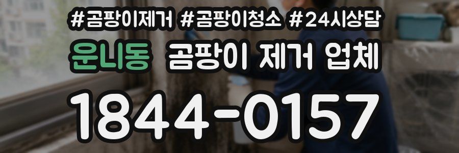운니동 곰팡이 제거 업체