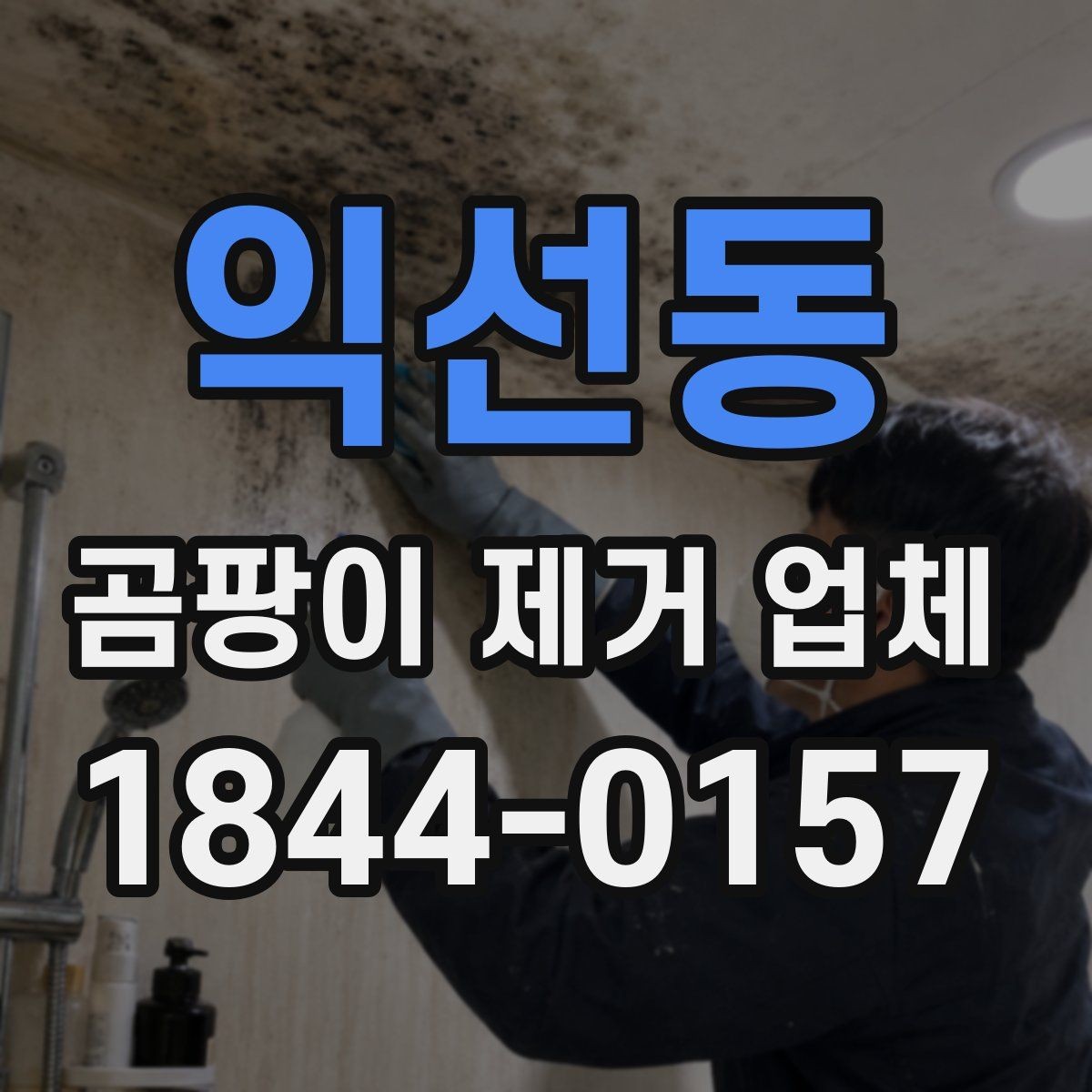 익선동 곰팡이 제거 업체 시공 전 하자 원인부터 확인하는 절차