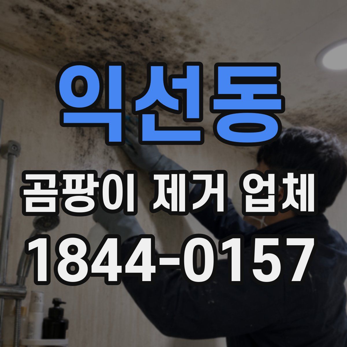 익선동 곰팡이 제거 업체