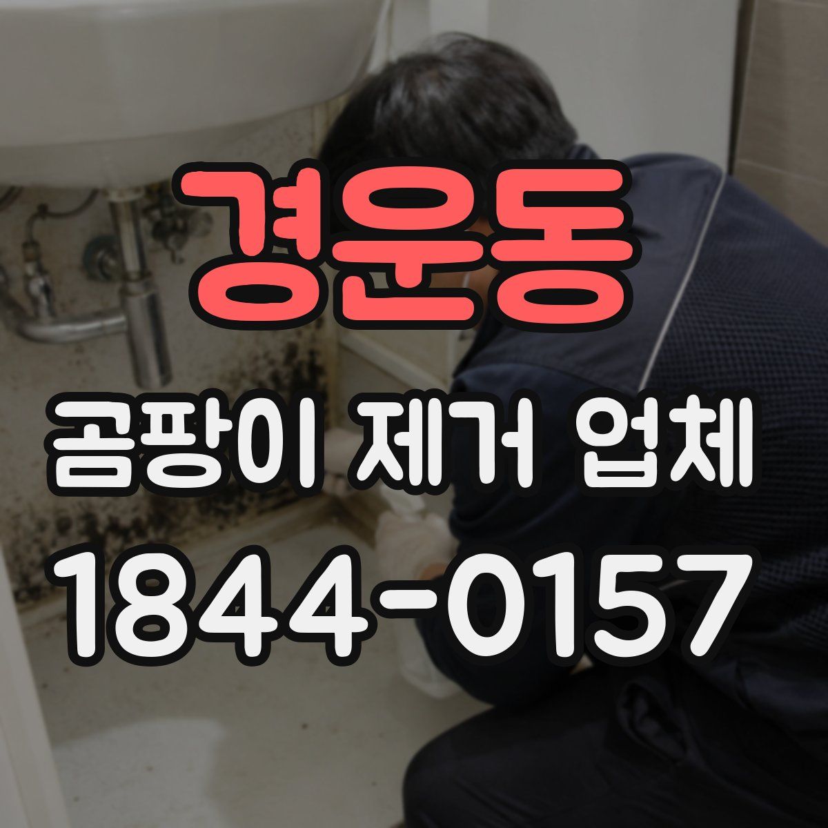 경운동 곰팡이 제거 업체