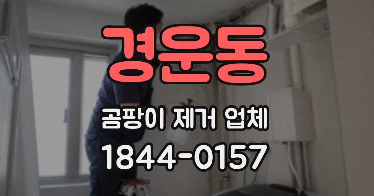 경운동 곰팡이 제거 업체