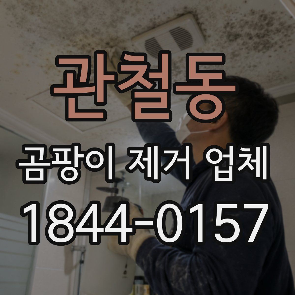 관철동 곰팡이 제거 업체 오염 부위별 제거 계획 세우는 법