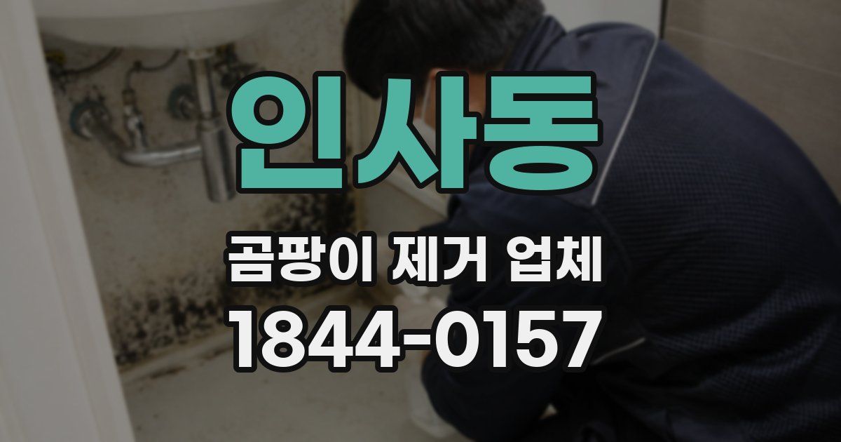 인사동 곰팡이 제거 업체