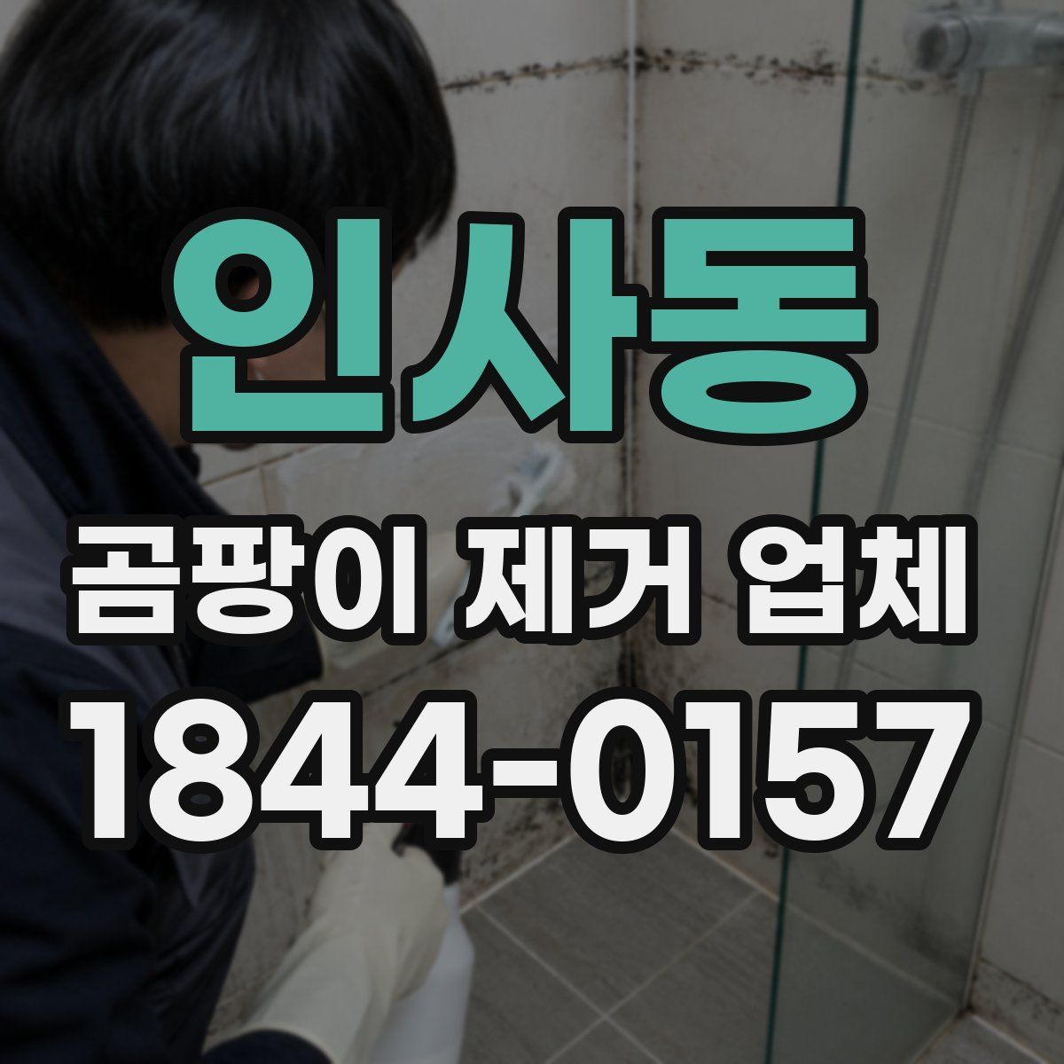 인사동 곰팡이 제거 업체