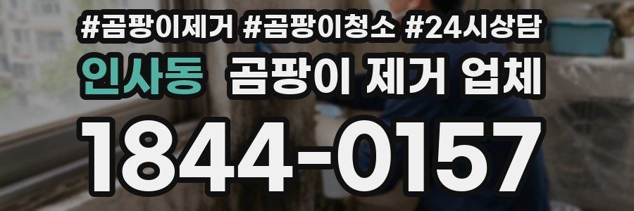 인사동 곰팡이 제거 업체