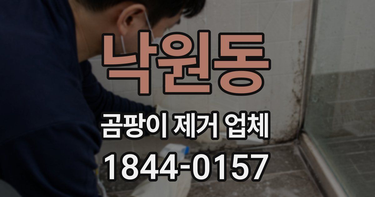 낙원동 곰팡이 제거 업체