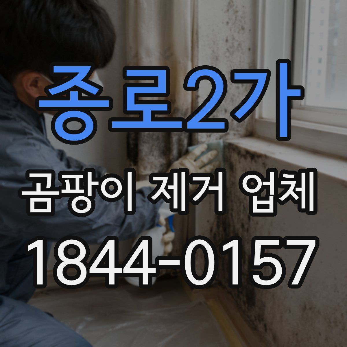 종로2가 곰팡이 제거 업체