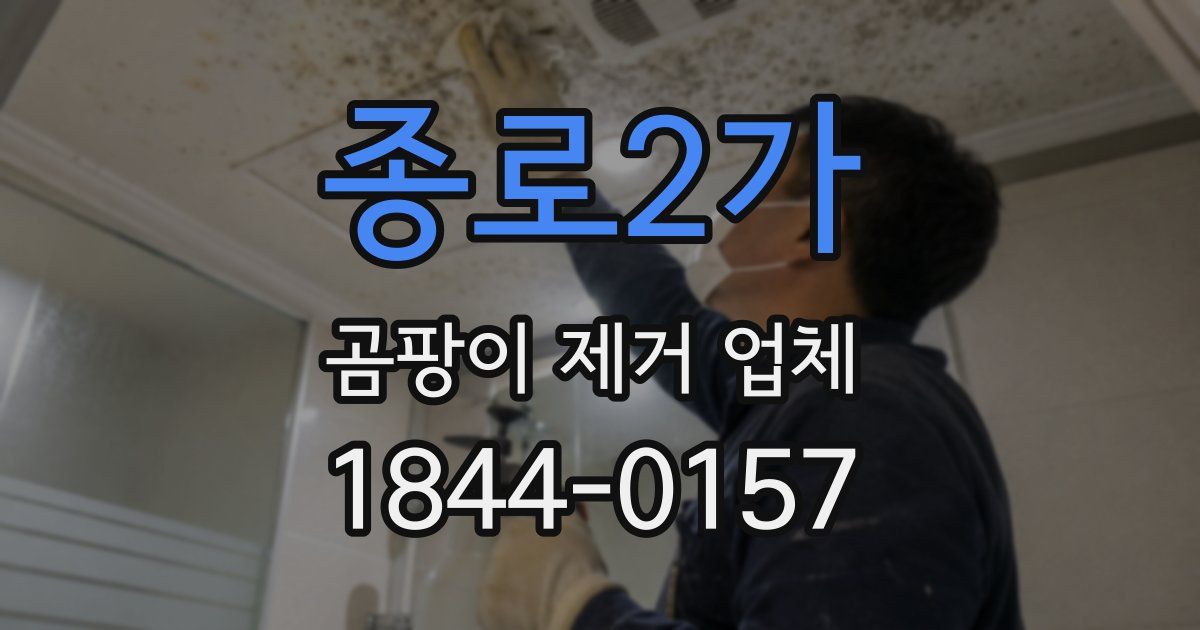 종로2가 곰팡이 제거 업체