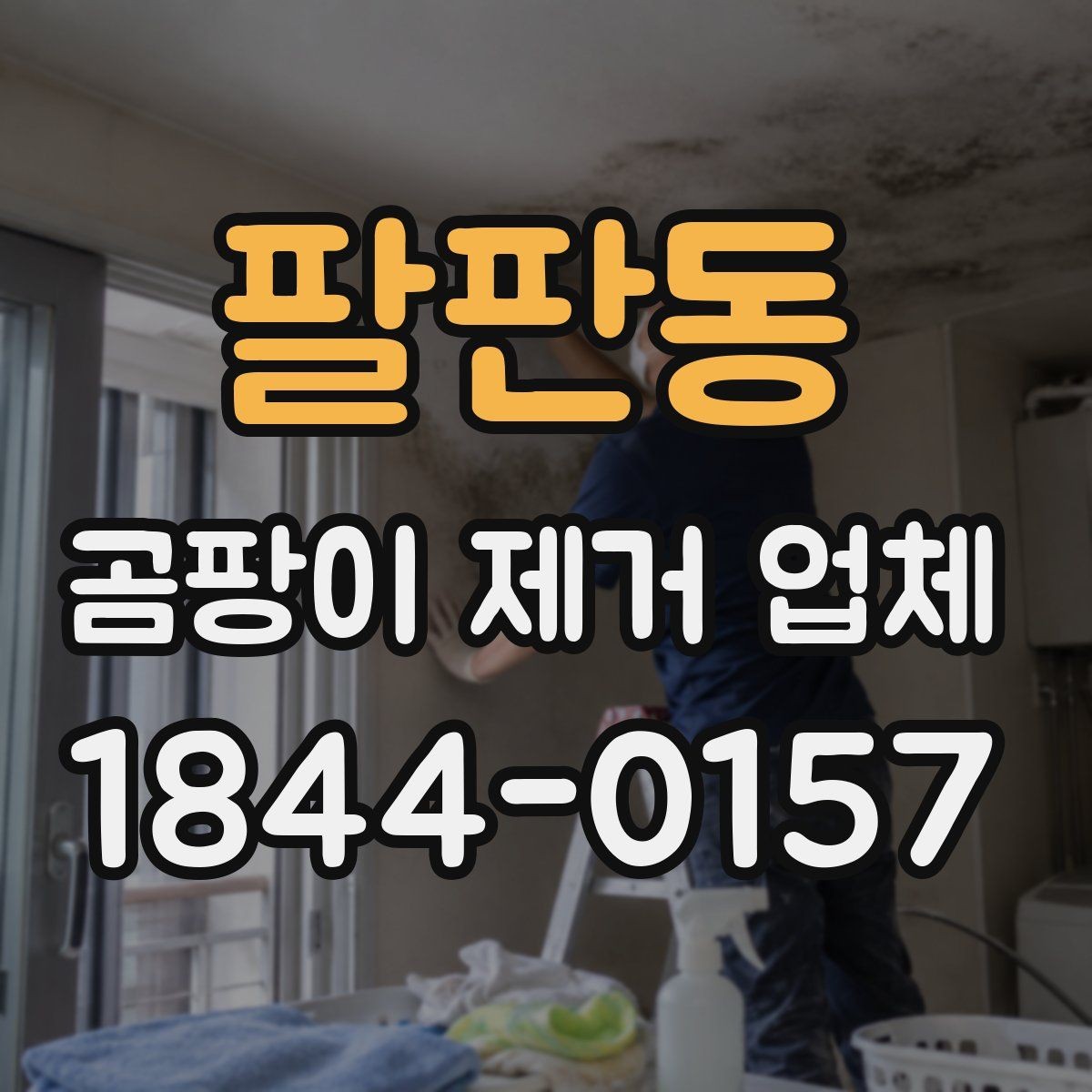 팔판동 곰팡이 제거 업체 욕실과 주거공간 오염 양상 비교