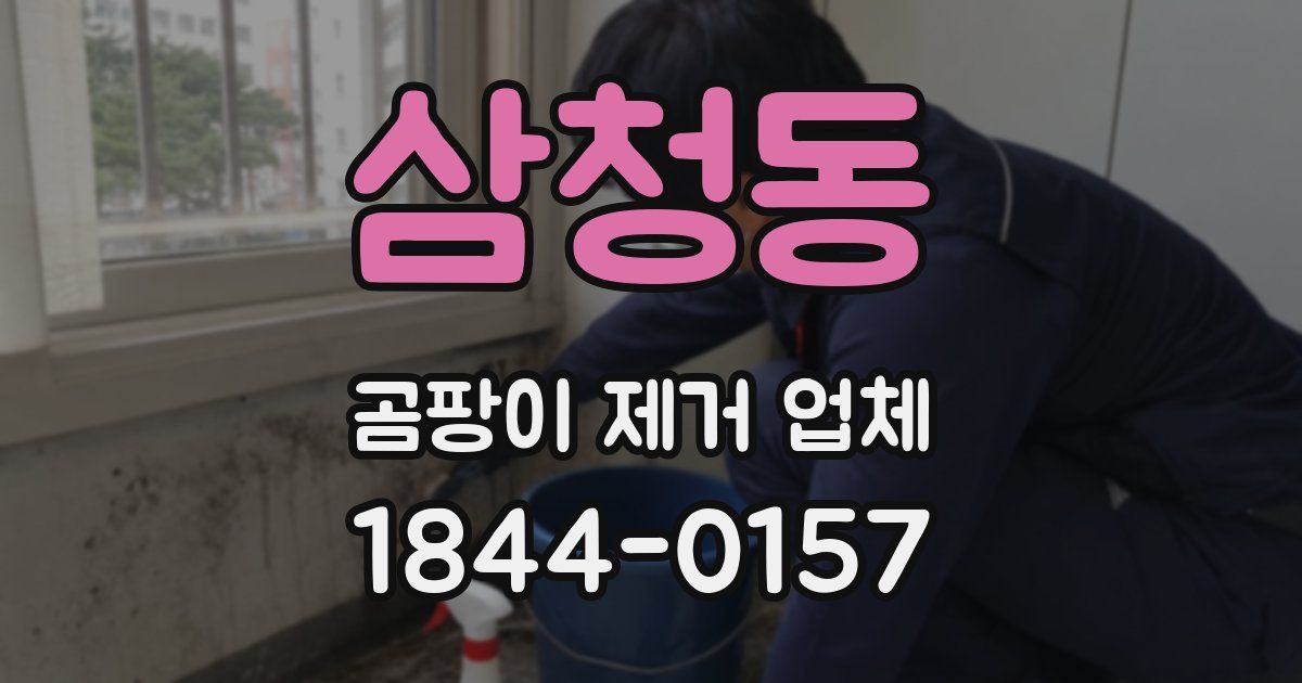삼청동 곰팡이 제거 업체
