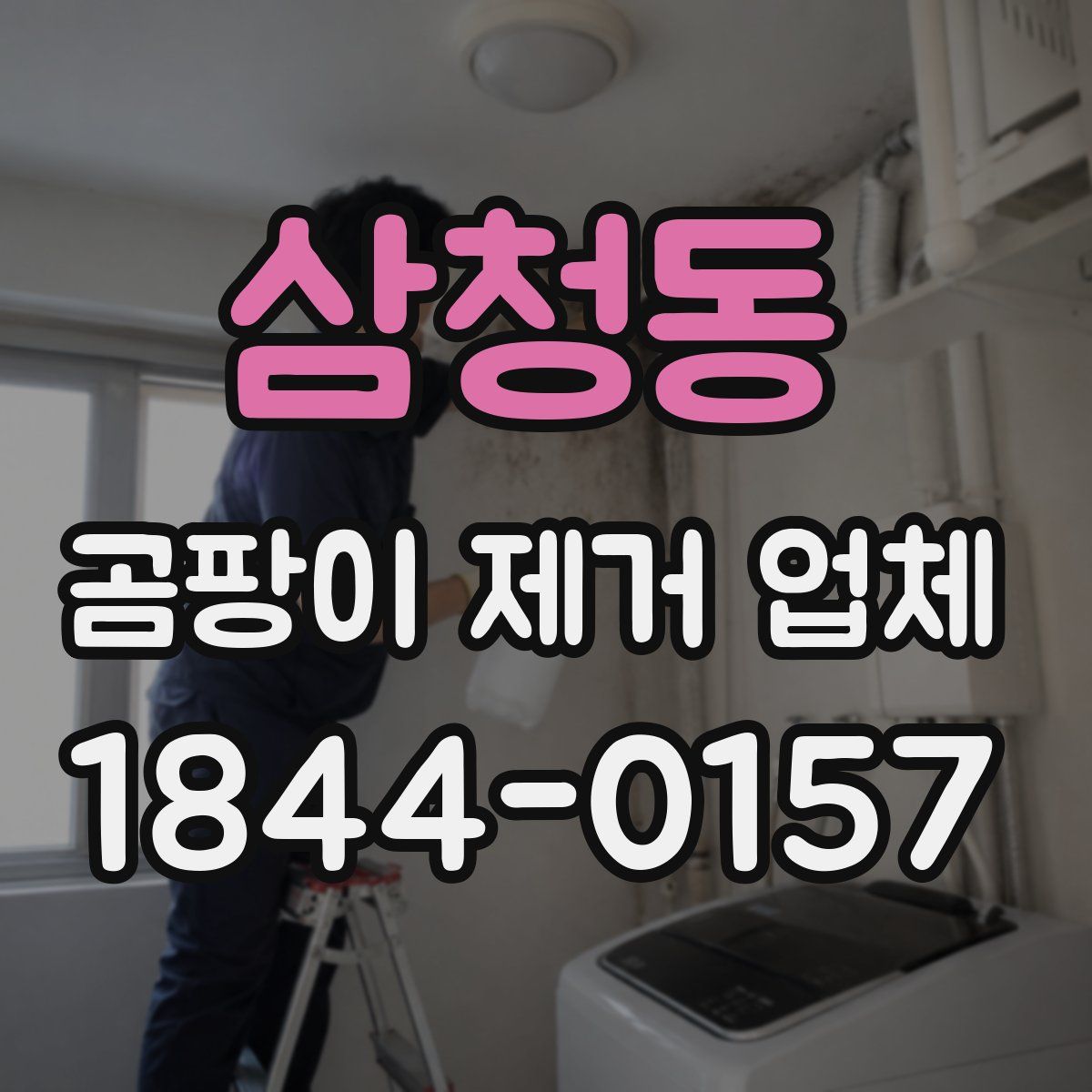 삼청동 곰팡이 제거 업체