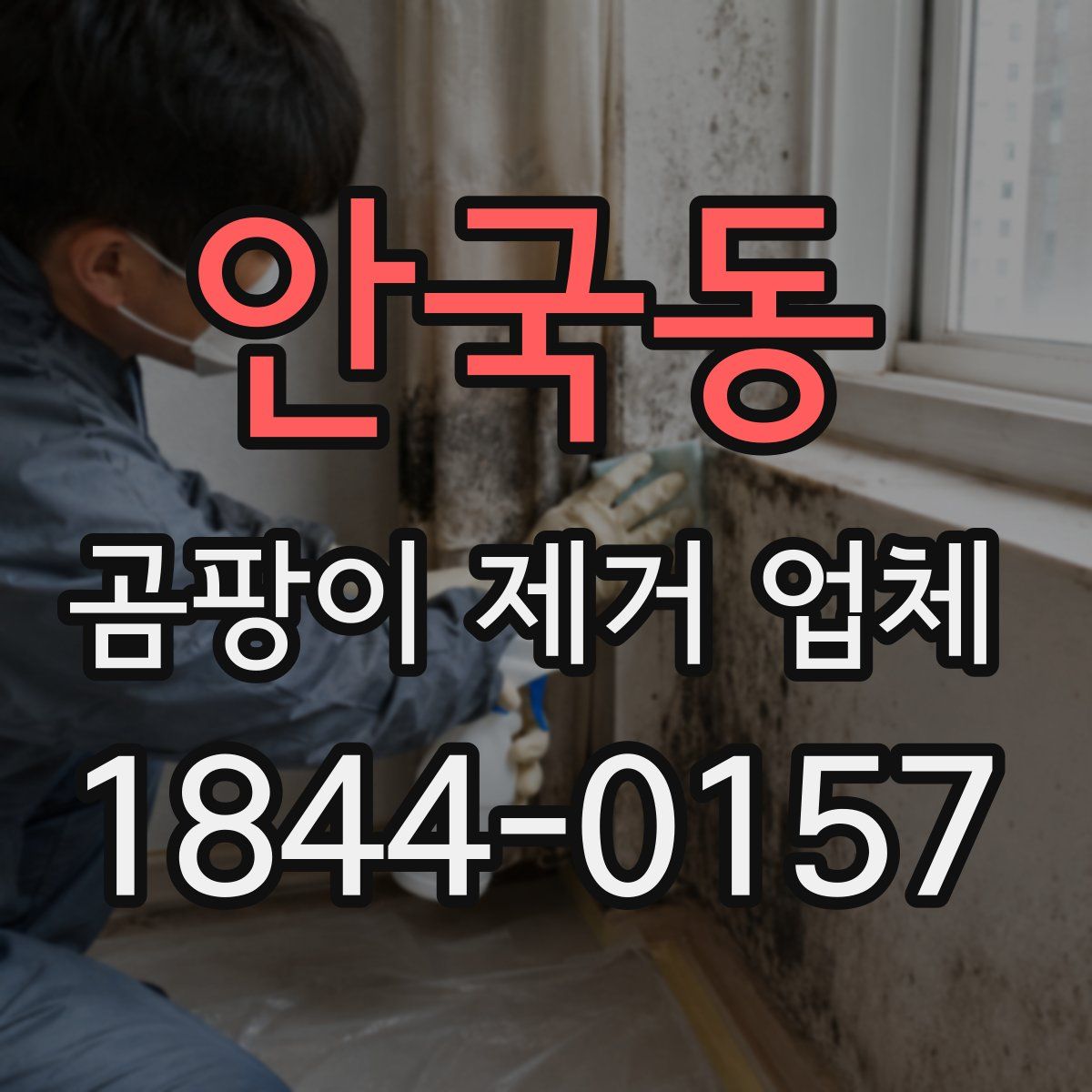 안국동 곰팡이 제거 업체