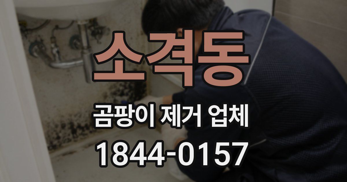 소격동 곰팡이 제거 업체