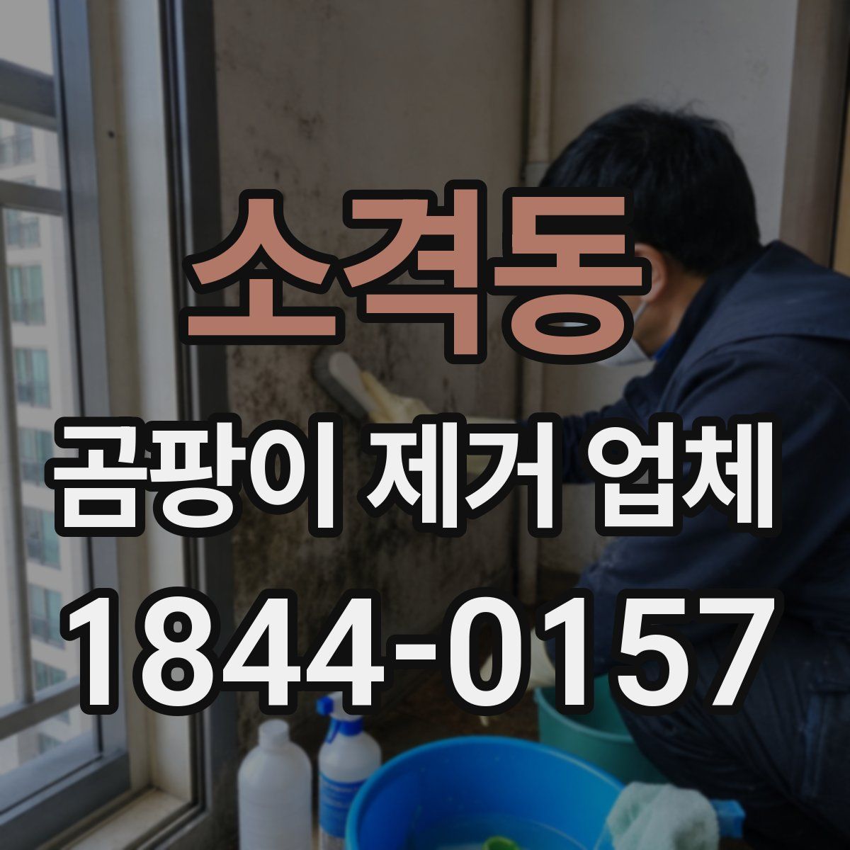 소격동 곰팡이 제거 업체