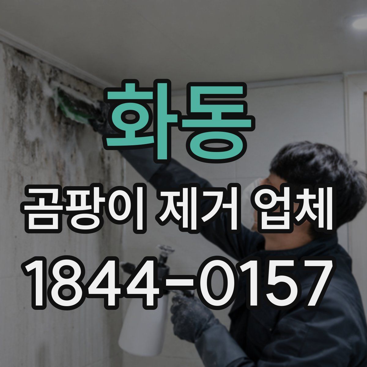 화동 곰팡이 제거 업체