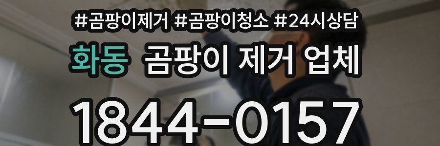 화동 곰팡이 제거 업체