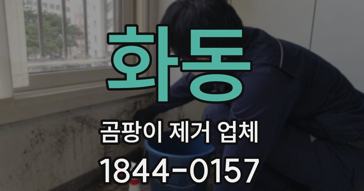 화동 곰팡이 제거 업체