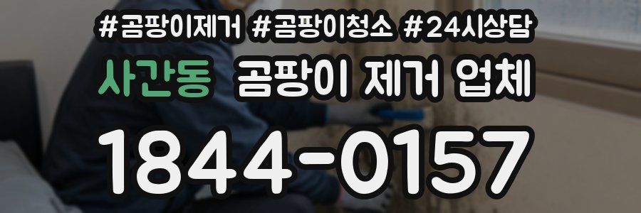사간동 곰팡이 제거 업체
