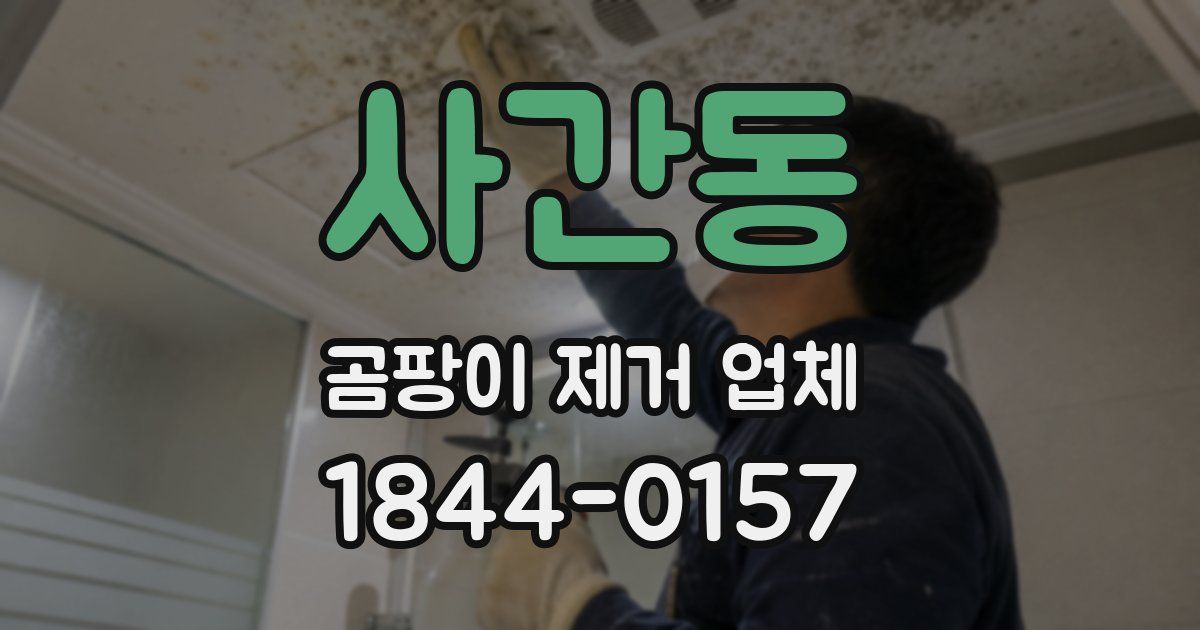 사간동 곰팡이 제거 업체