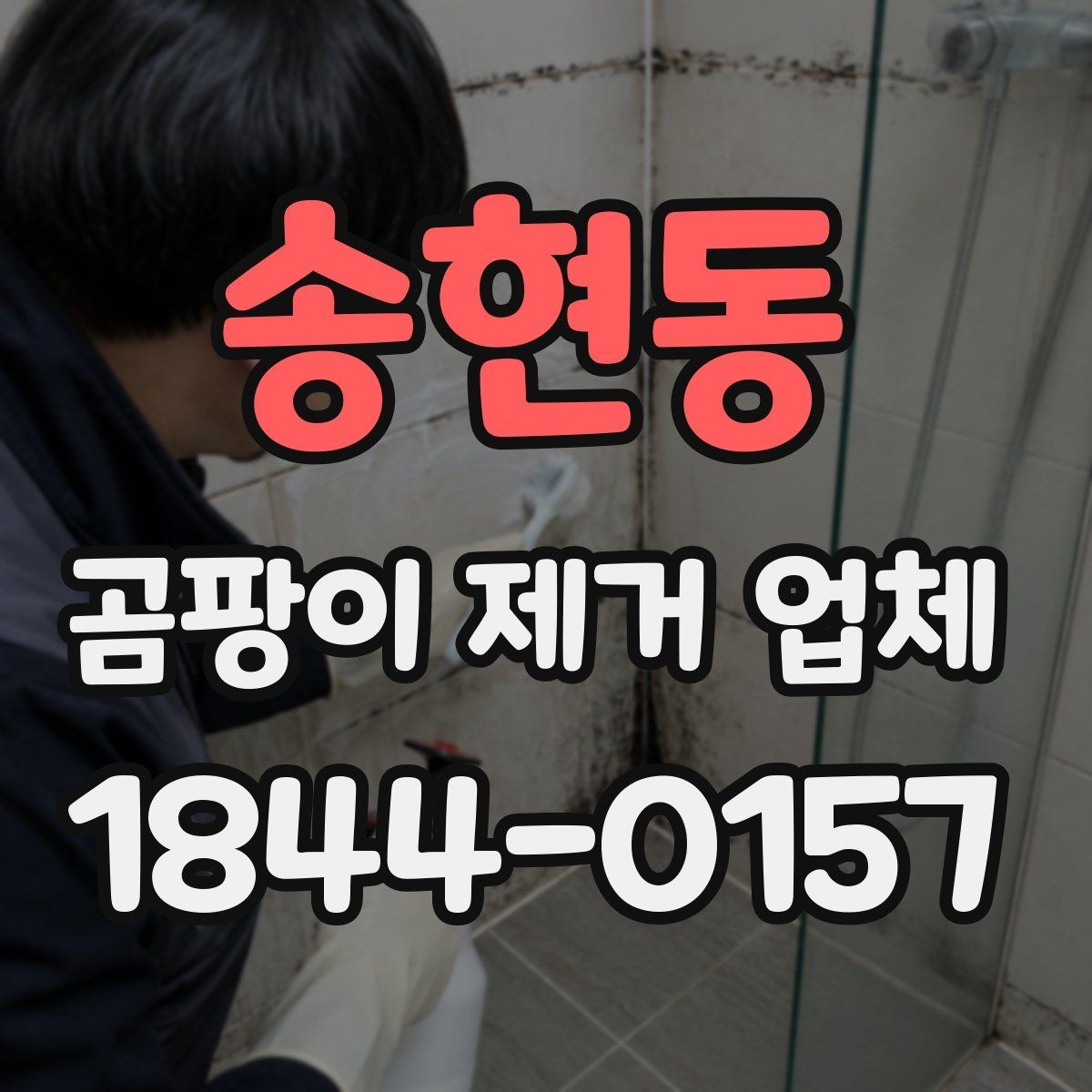송현동 곰팡이 제거 업체 곰팡이 제거 전 하자 원인부터 보는 이유