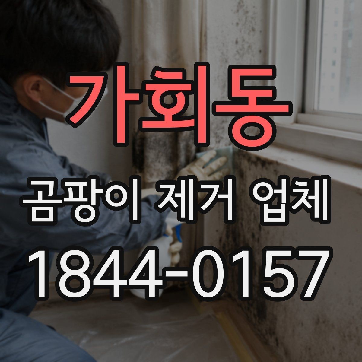 가회동 곰팡이 제거 업체 저층 주택 냄새 원인을 추적하는 방식