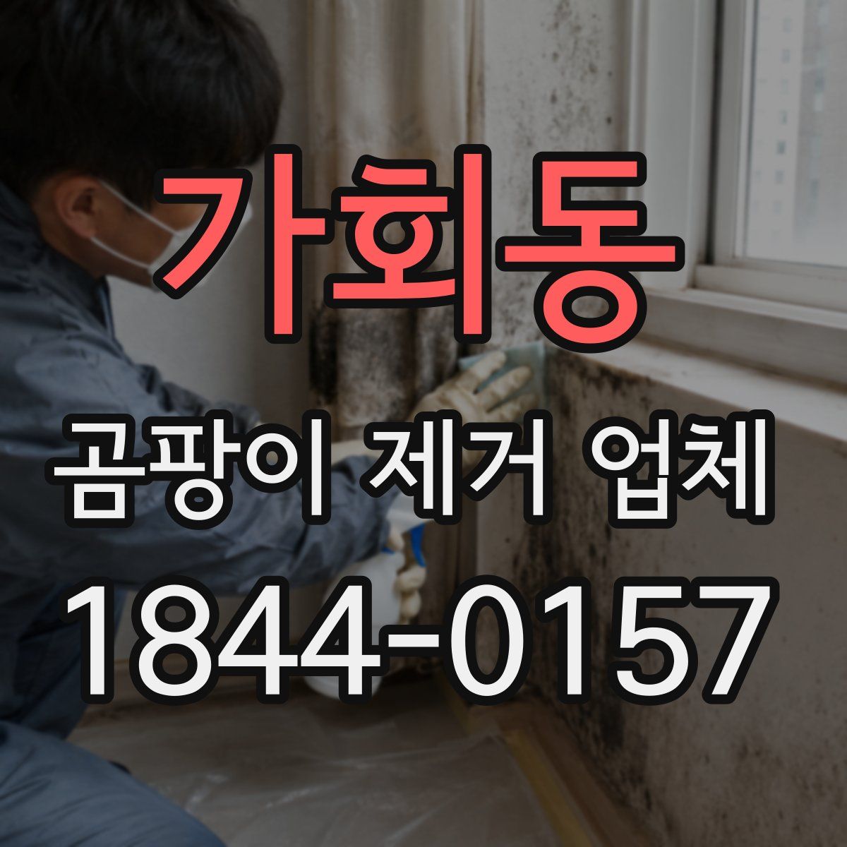 가회동 곰팡이 제거 업체