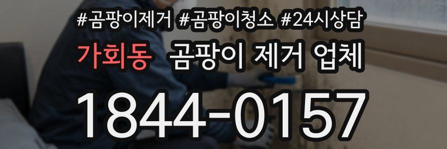 가회동 곰팡이 제거 업체