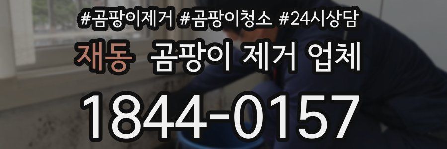 재동 곰팡이 제거 업체