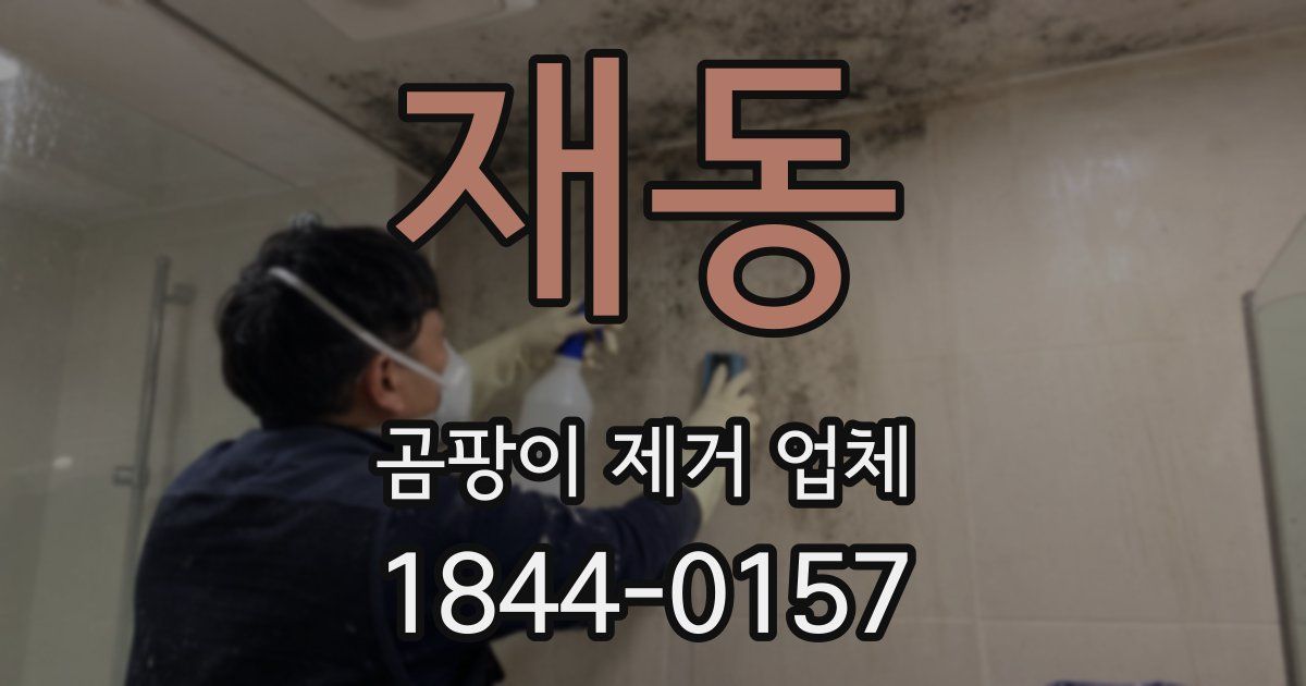 재동 곰팡이 제거 업체