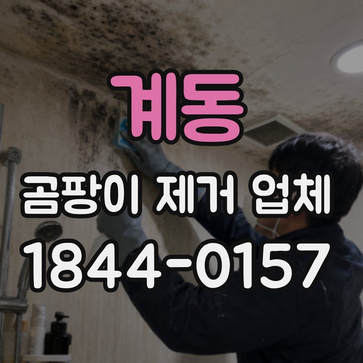 계동 곰팡이 제거 업체 시공 뒤 환기와 습도 관리 요령