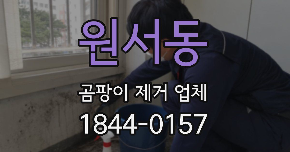 원서동 곰팡이 제거 업체