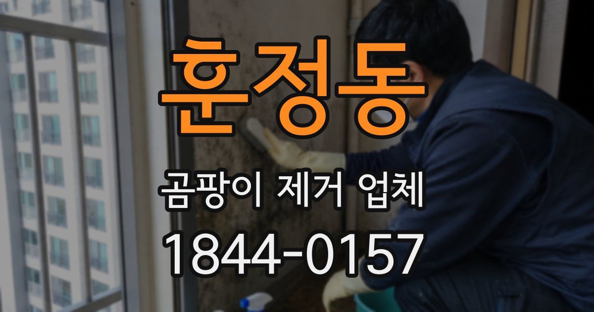 훈정동 곰팡이 제거 업체