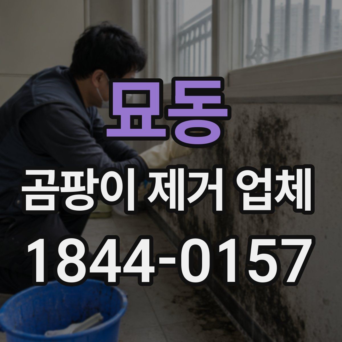 묘동 곰팡이 제거 업체 현장 방문으로 하자 범위를 구체적으로 파악하는 법
