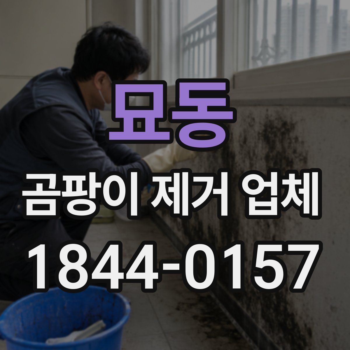 묘동 곰팡이 제거 업체