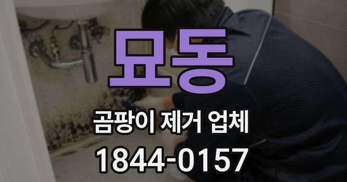 묘동 곰팡이 제거 업체
