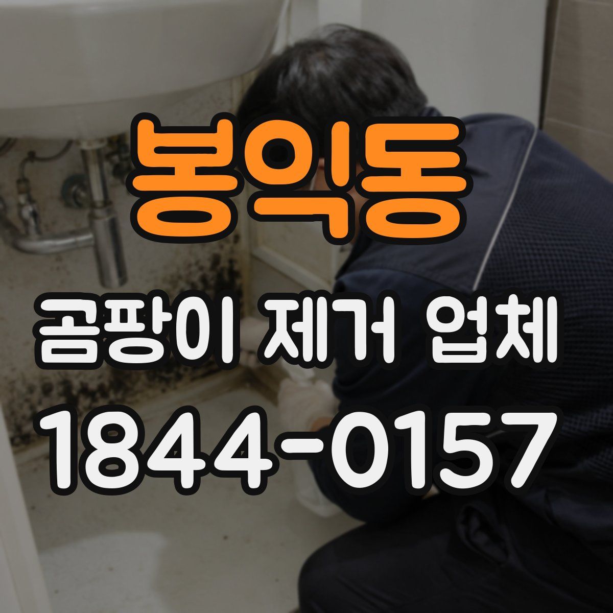 봉익동 곰팡이 제거 업체