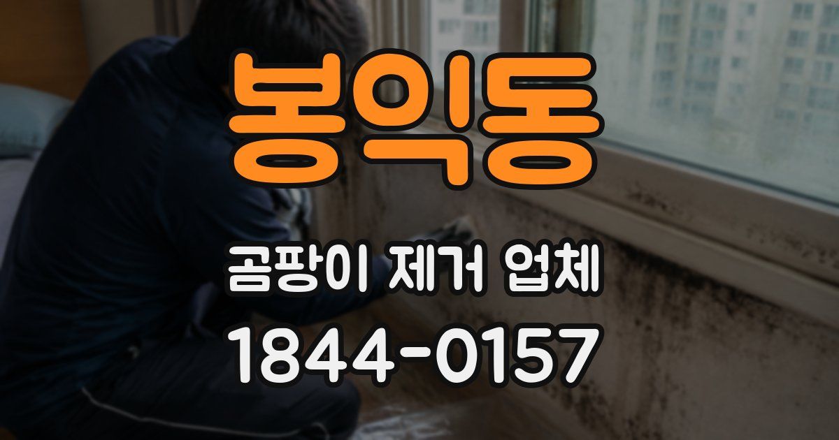 봉익동 곰팡이 제거 업체