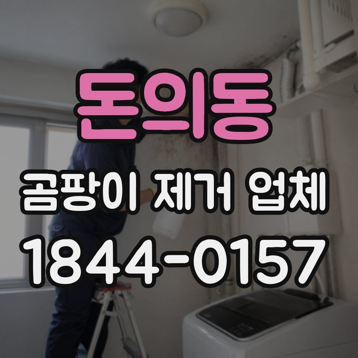 돈의동 곰팡이 제거 업체 습도 관리와 환기 개선으로 재발 줄이는 방법