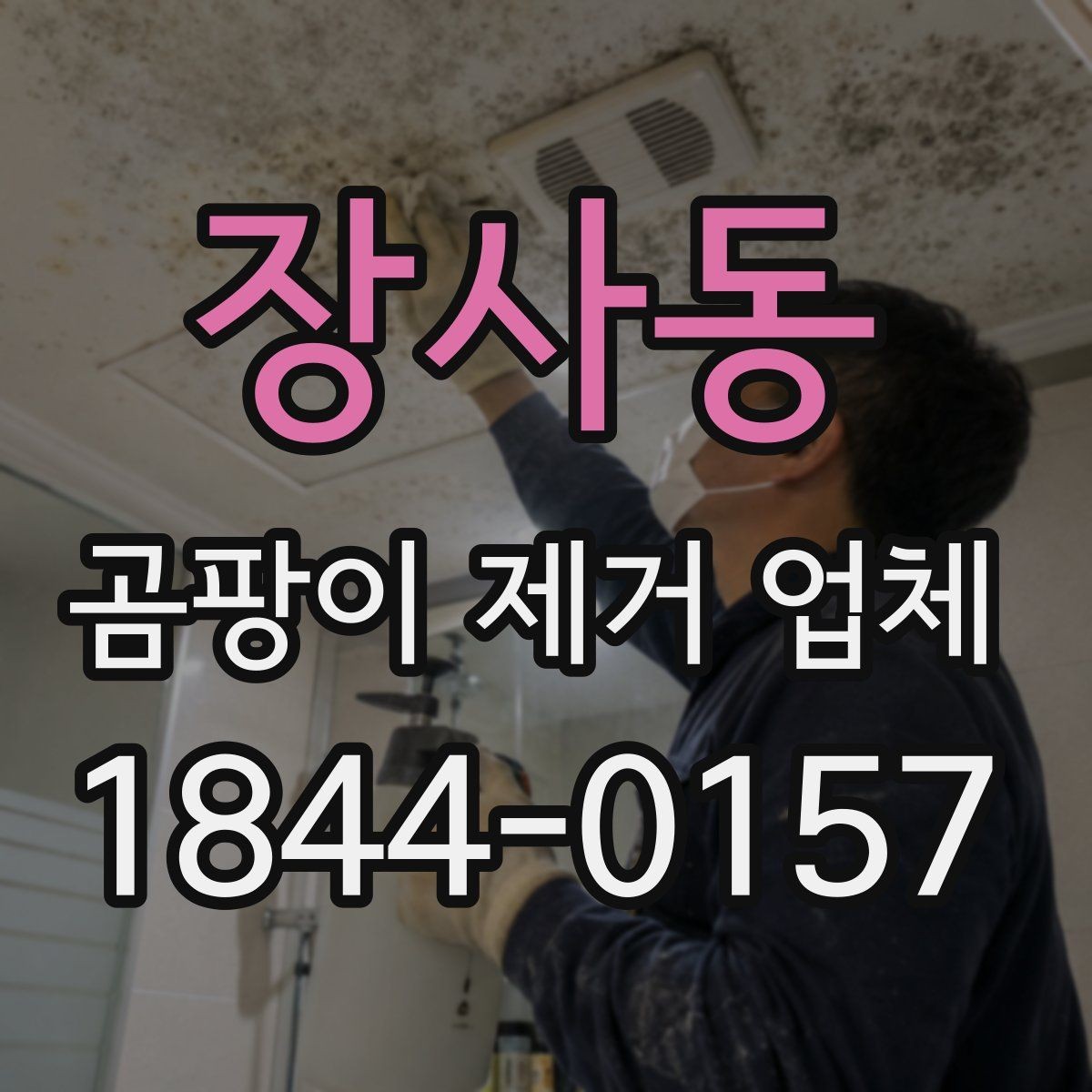 장사동 곰팡이 제거 업체 세입자와 집주인 간 비용 협의 전 체크
