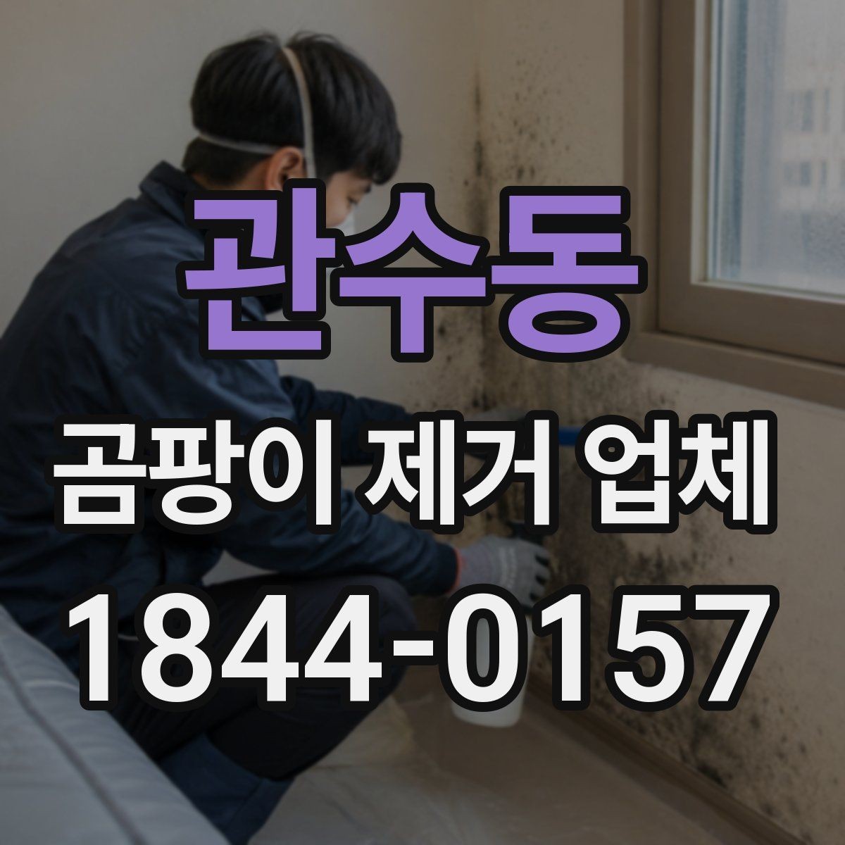 관수동 곰팡이 제거 업체 반지하와 저층 주택에서 점검이 필요한 지점