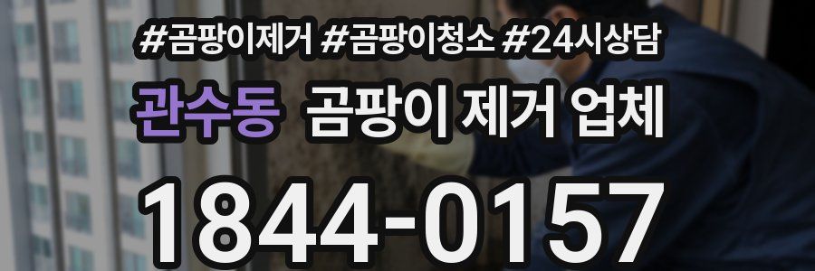 관수동 곰팡이 제거 업체