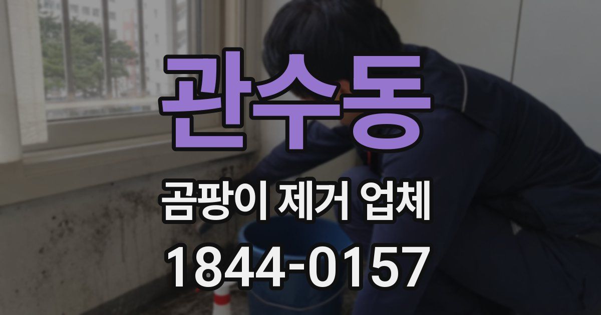 관수동 곰팡이 제거 업체