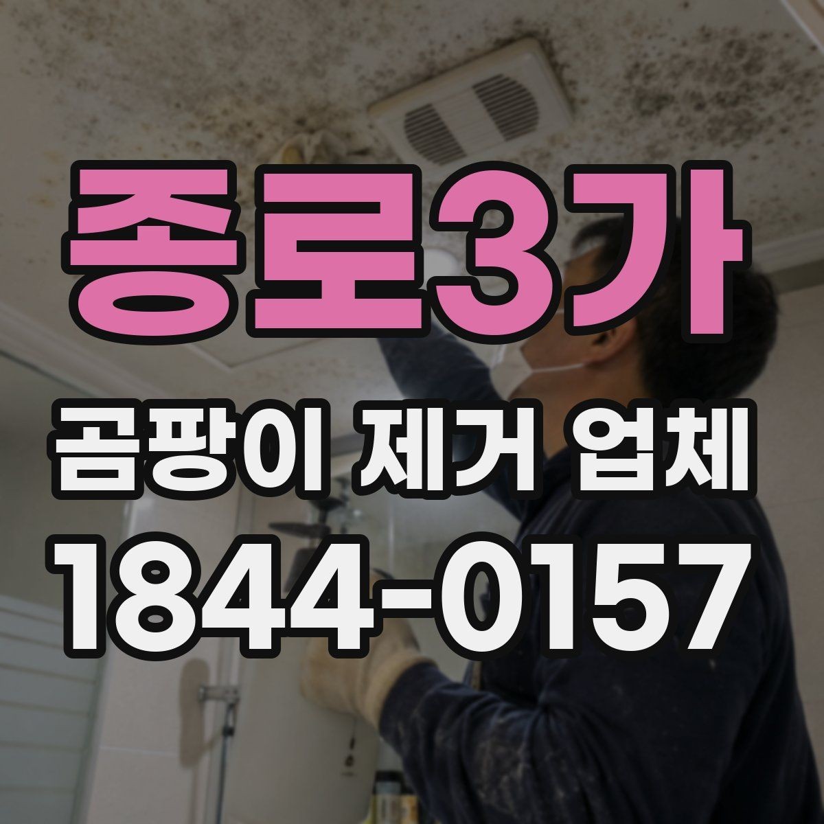 종로3가 곰팡이 제거 업체 침투 원인 찾는 진단 포인트