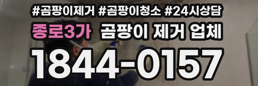 종로3가 곰팡이 제거 업체