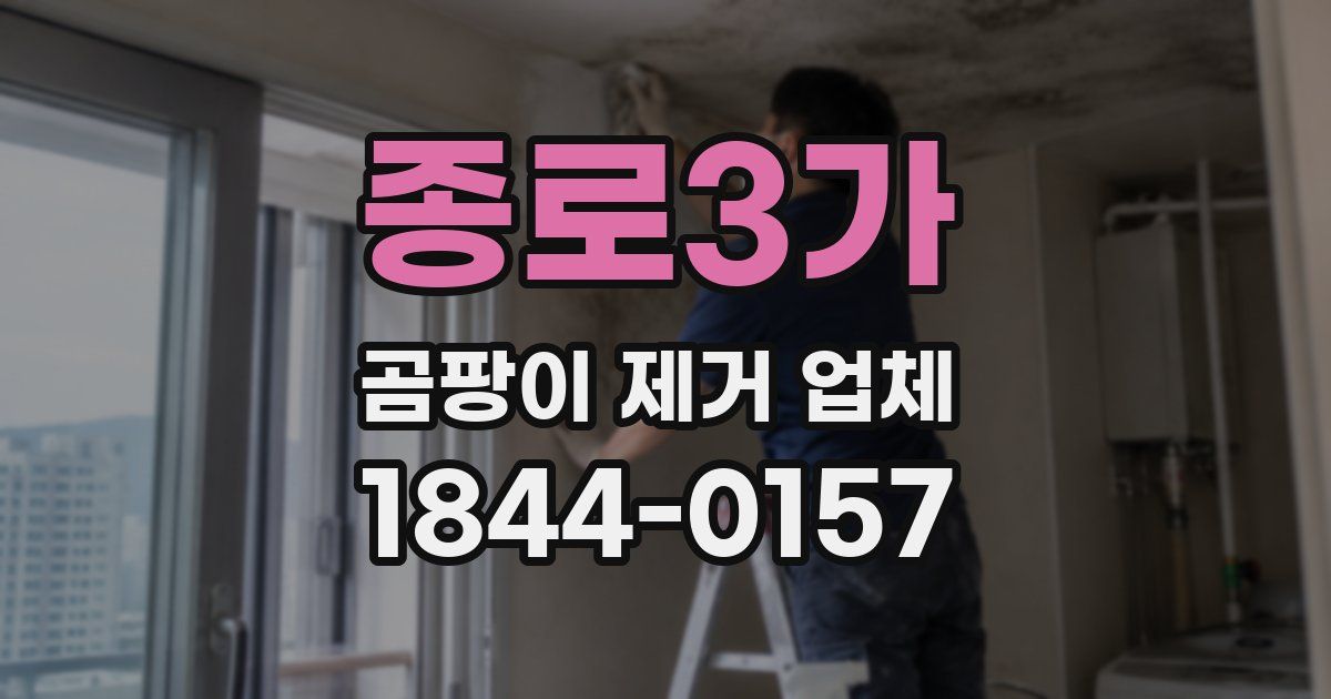 종로3가 곰팡이 제거 업체